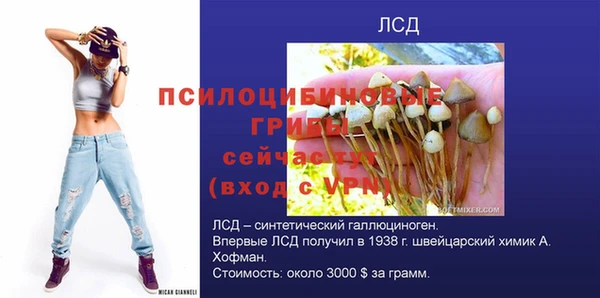 каннабис Новозыбков