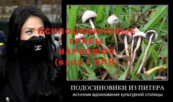 спиды Дмитров