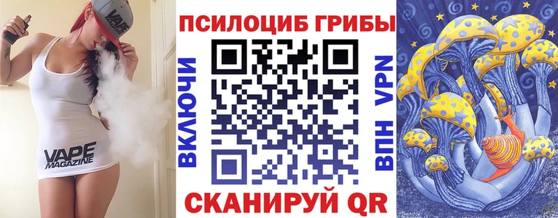 магазин    Кадников  Галлюциногенные грибы ЛСД 